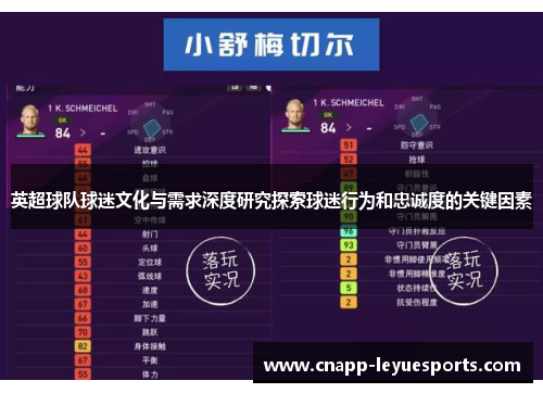 英超球队球迷文化与需求深度研究探索球迷行为和忠诚度的关键因素 英超球队球迷文化与需求深度研究探索球迷行为和忠诚度的关键因素