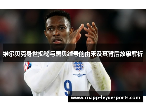 维尔贝克身世揭秘与黑贝绰号的由来及其背后故事解析 维尔贝克身世揭秘与黑贝绰号的由来及其背后故事解析