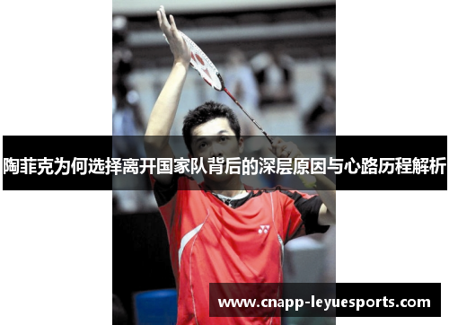 陶菲克为何选择离开国家队背后的深层原因与心路历程解析