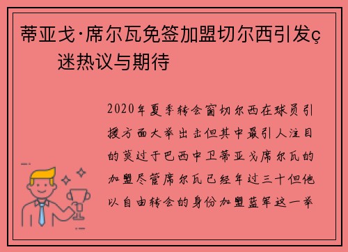 蒂亚戈·席尔瓦免签加盟切尔西引发球迷热议与期待
